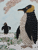 Les pingouins en habit de soirée à l'Île Penotte